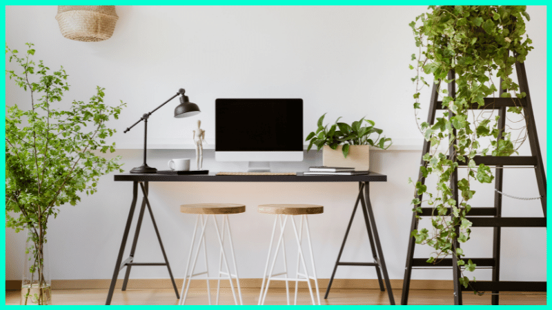 desk with plants